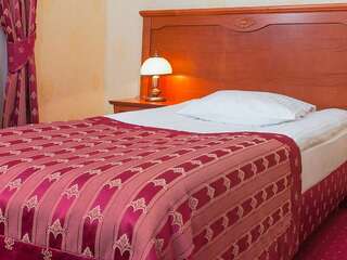 Отель Hotel Korona Сандомир Одноместный номер-1